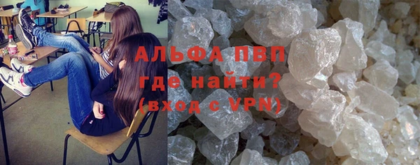скорость Вяземский