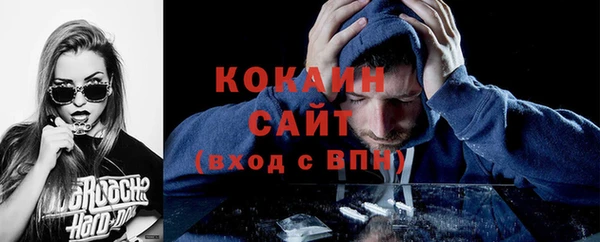 ГАЛЛЮЦИНОГЕННЫЕ ГРИБЫ Вязьма